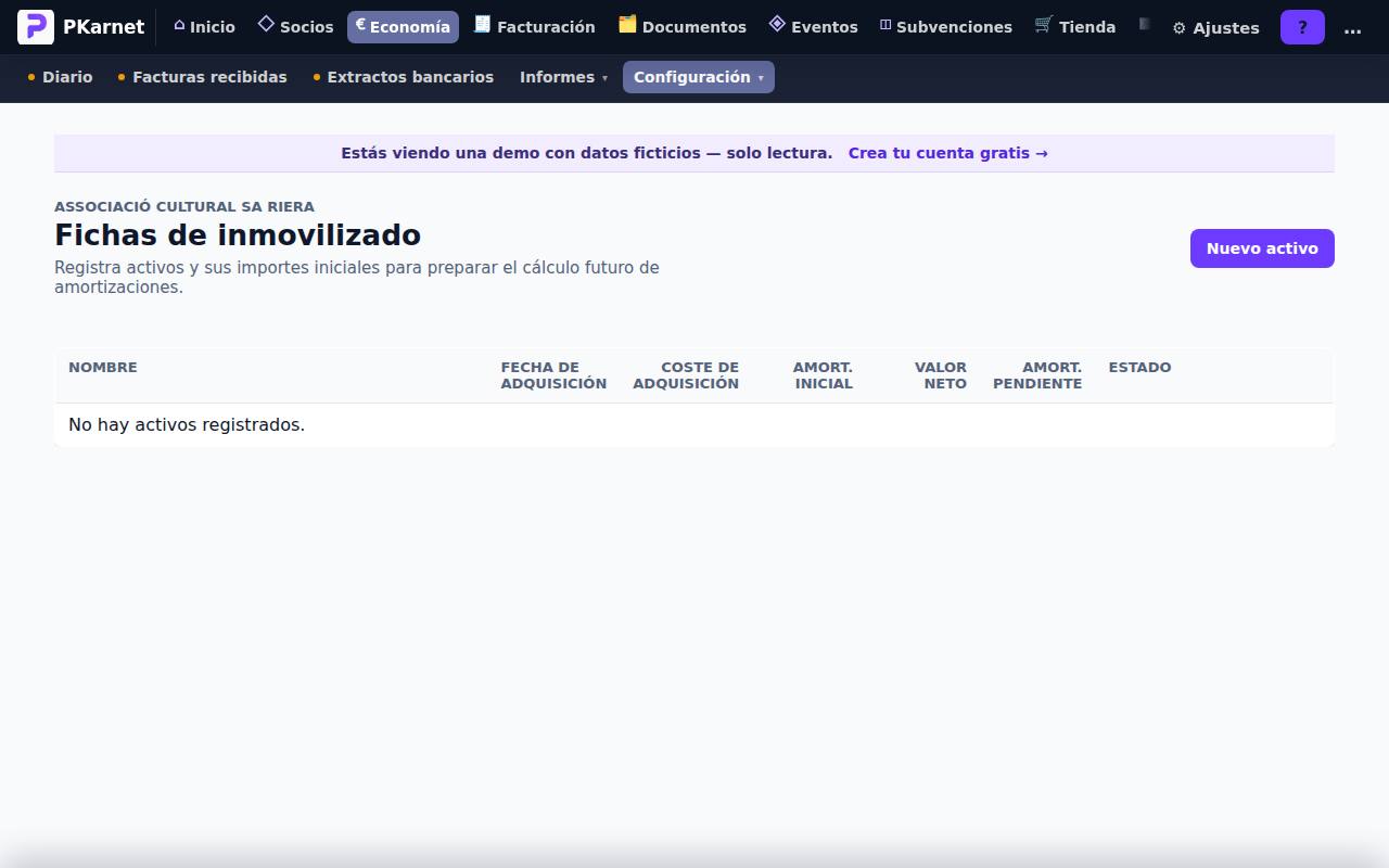 Pantalla «Inmovilizado» del panel de PKarnet, con datos de la demo