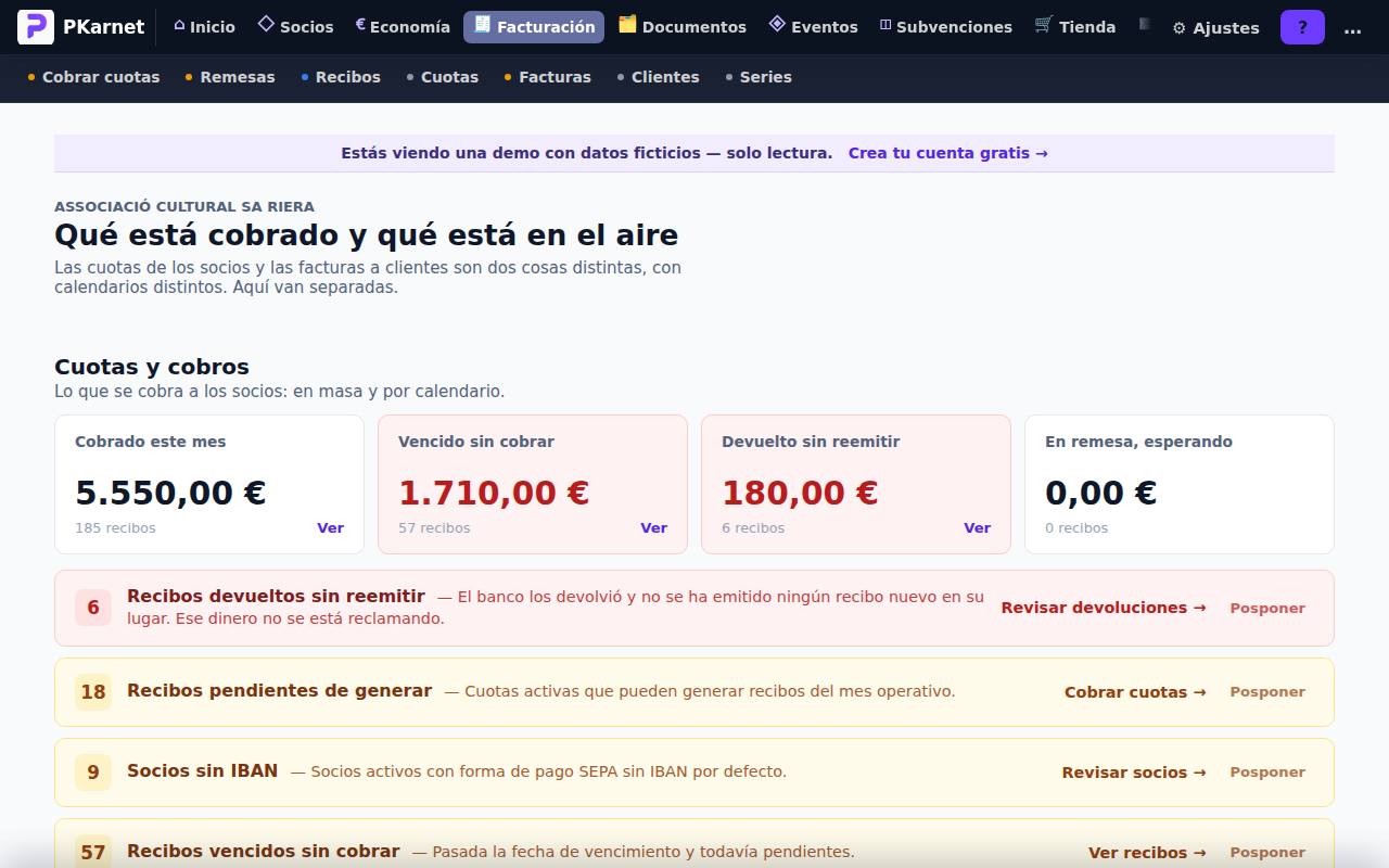 Pantalla «Facturación» del panel de PKarnet, con datos de la demo